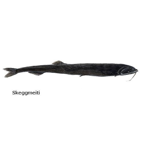 skeggmeiti