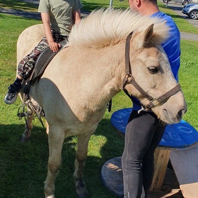 533024266_2798699027007558_1555886672764627777_n