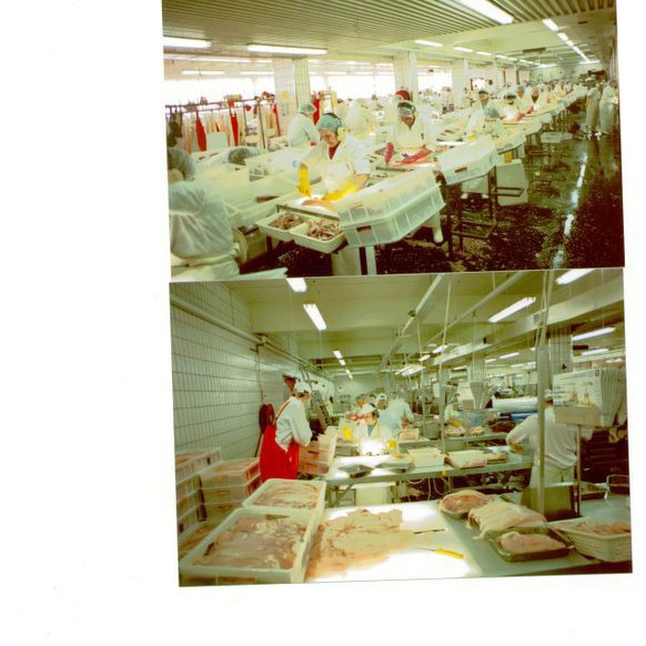 forsida-18-46276cff4b074jpg