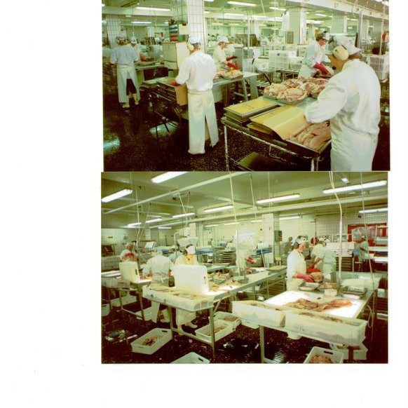 forsida-18-46276cff97232jpg