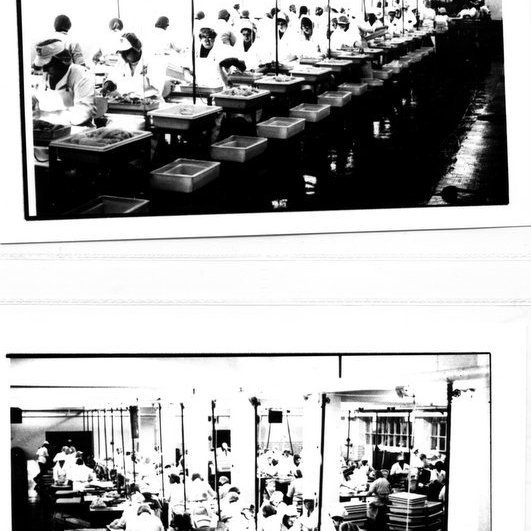 forsida-18-46276cffdc743jpg