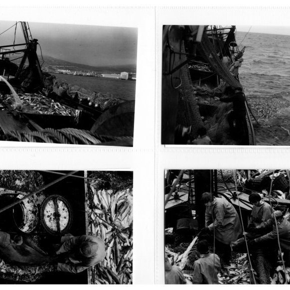 forsida-18-46276d042dabbjpg