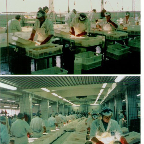 forsida-18-46276d0d2207ejpg