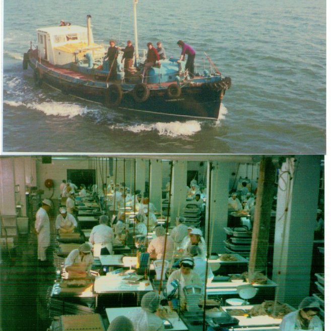 forsida-18-46276d0d6d6f0jpg