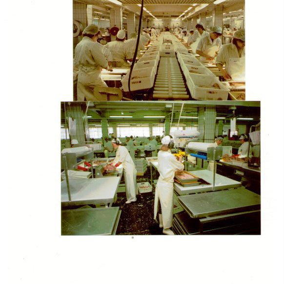 forsida-18-46276d0e2edadjpg