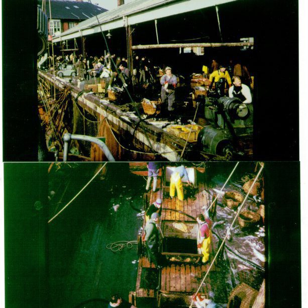 forsida-18-46276d10c74d9jpg