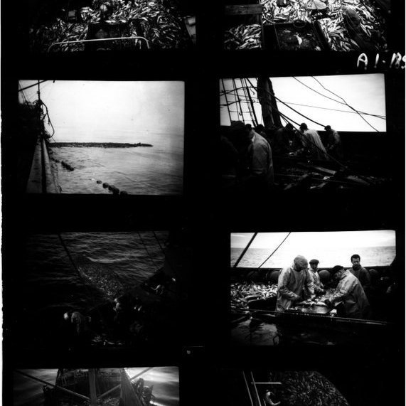 forsida-18-46276d11b4a96jpg