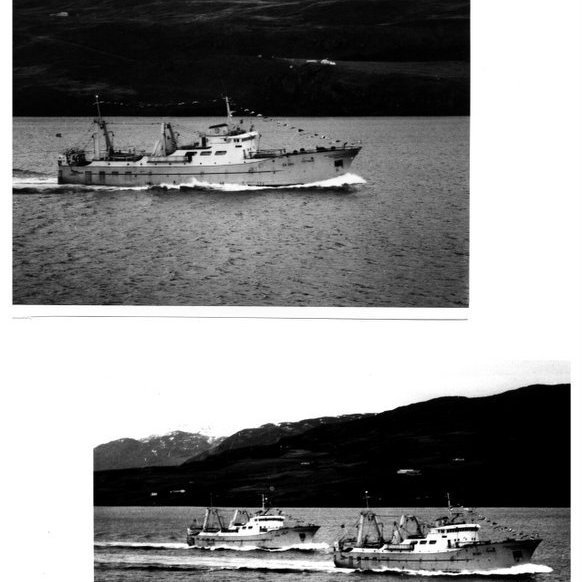 forsida-18-46276ed8cd267jpg