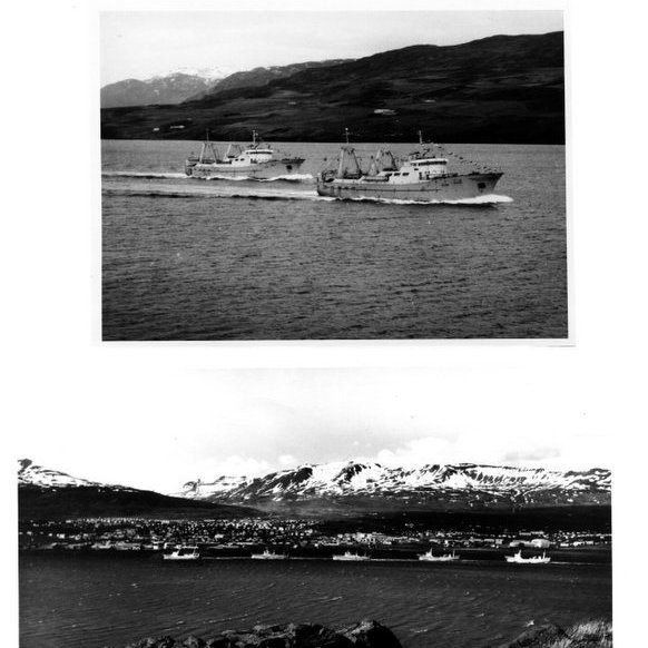 forsida-18-46276ed92988bjpg