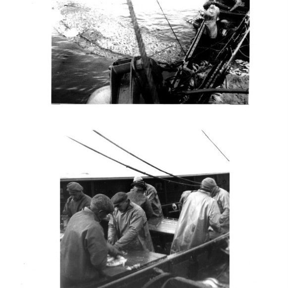 forsida-18-46276ee135108jpg