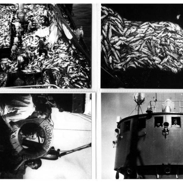 forsida-18-46276ee268d7ejpg