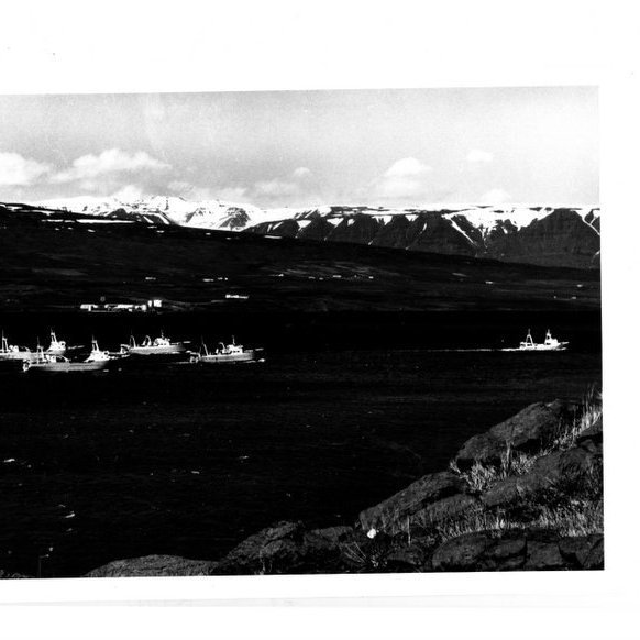 forsida-18-46276ee58ed3fjpg