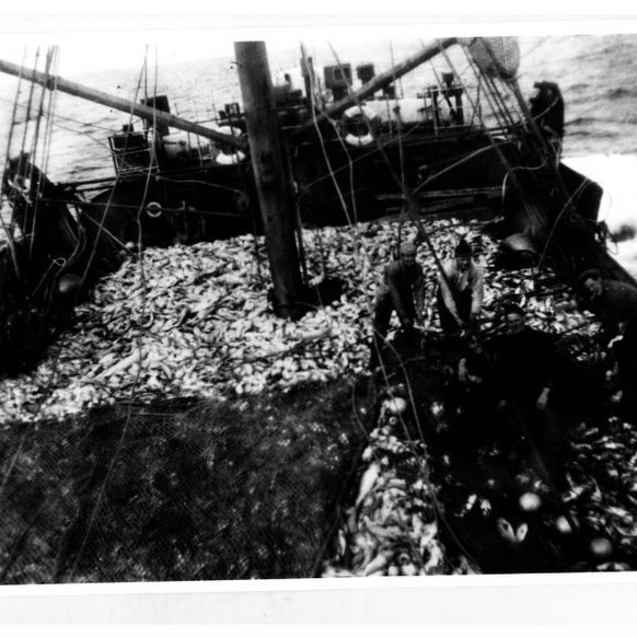 forsida-18-46276ee629771jpg