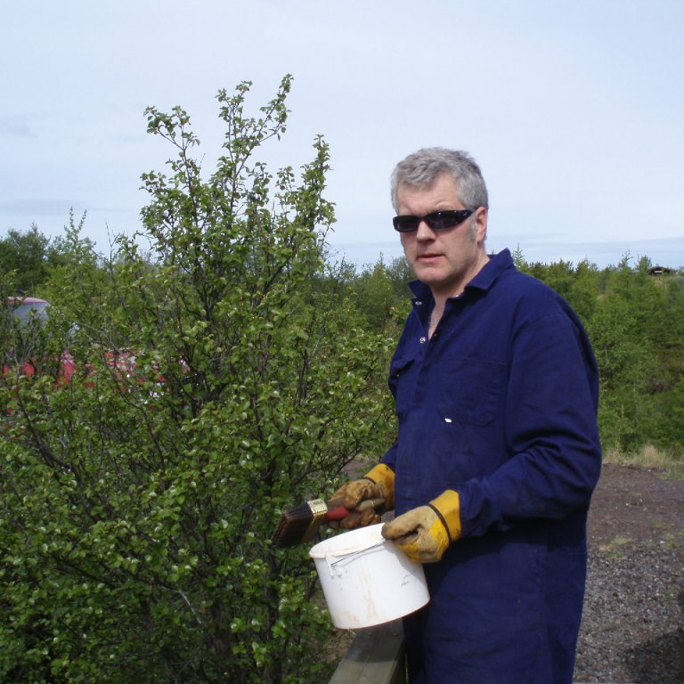 forsida-21-4677a85668db6jpg