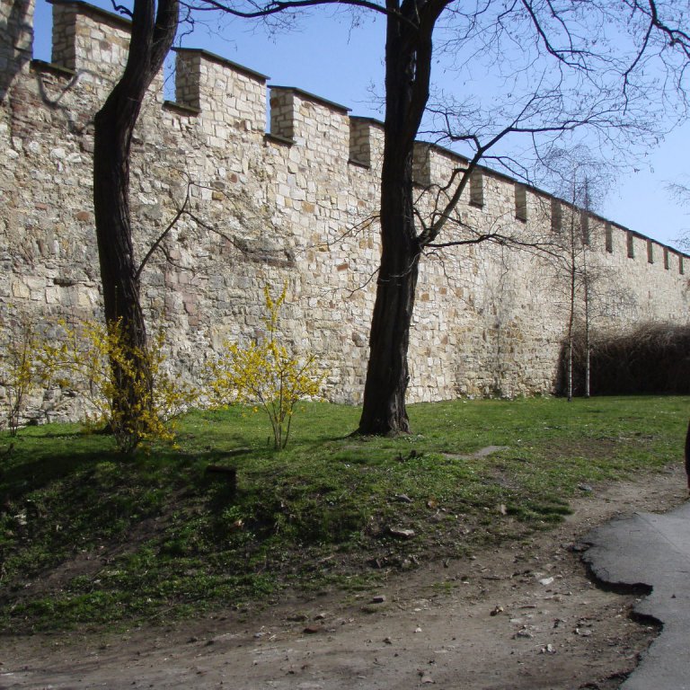 forsida-24-4818a9ee22a65jpg