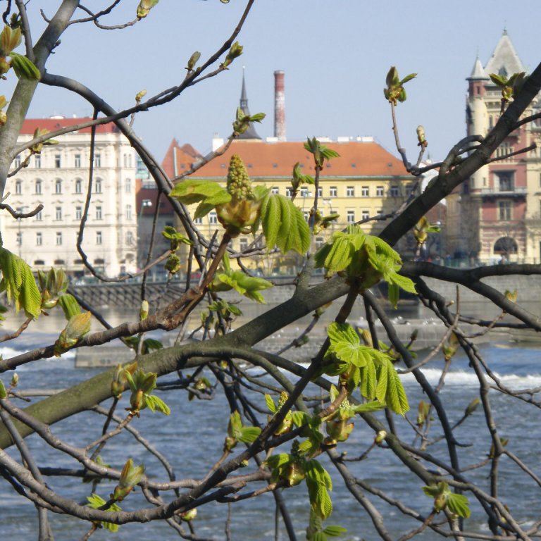 forsida-24-4818aa6502e1fjpg