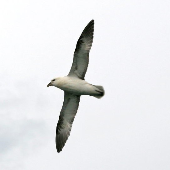 forsida-25-4852a684d8506jpg