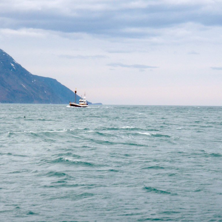 forsida-25-4852a6ac60d70jpg