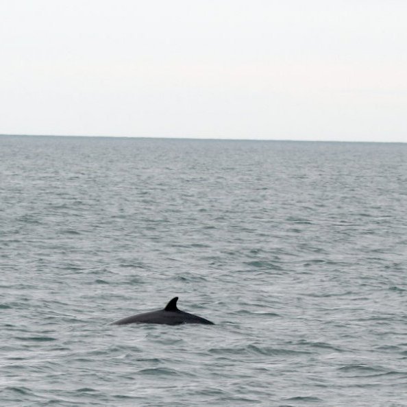 forsida-25-4852aacfe671cjpg