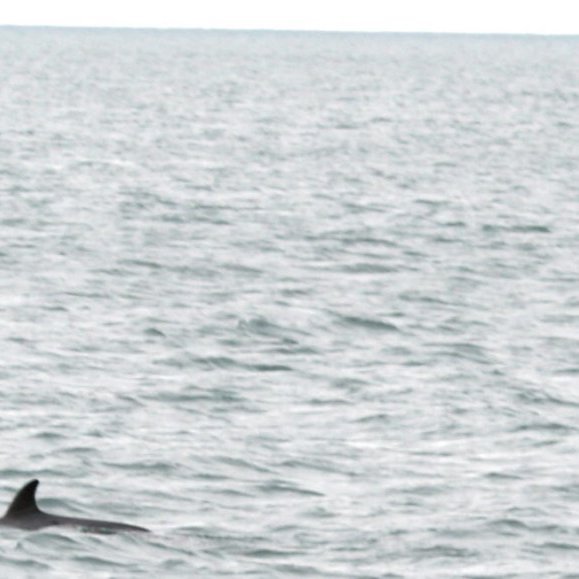 forsida-25-4852aad076a5cjpg