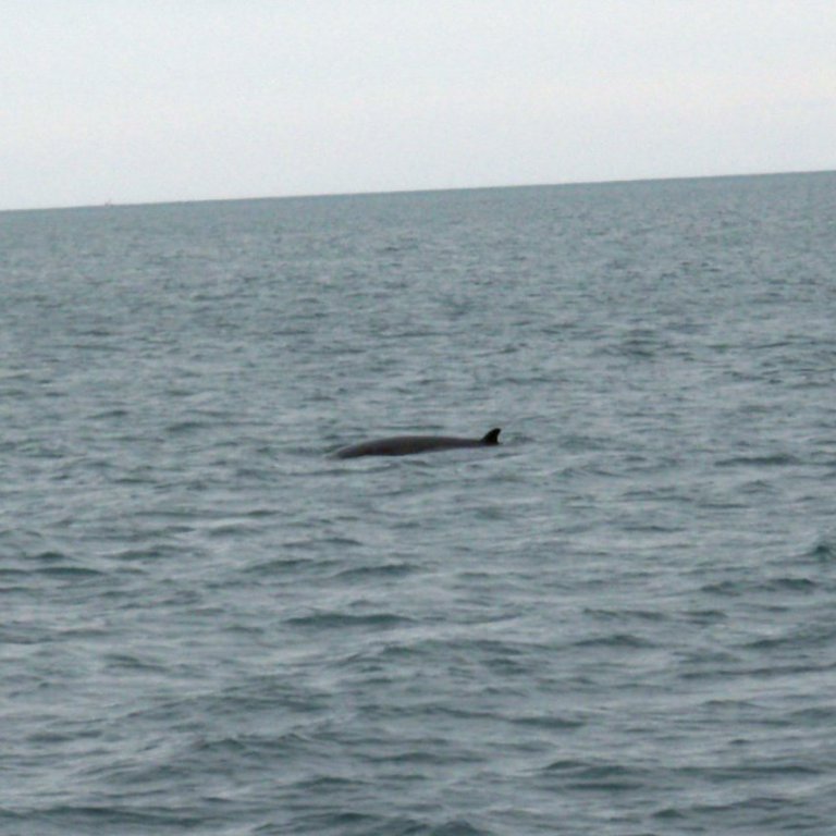 forsida-25-4852aad10c84fjpg