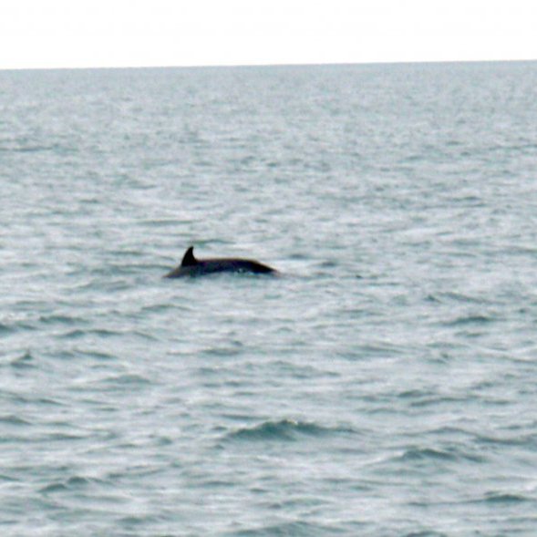 forsida-25-4852aad1da907jpg