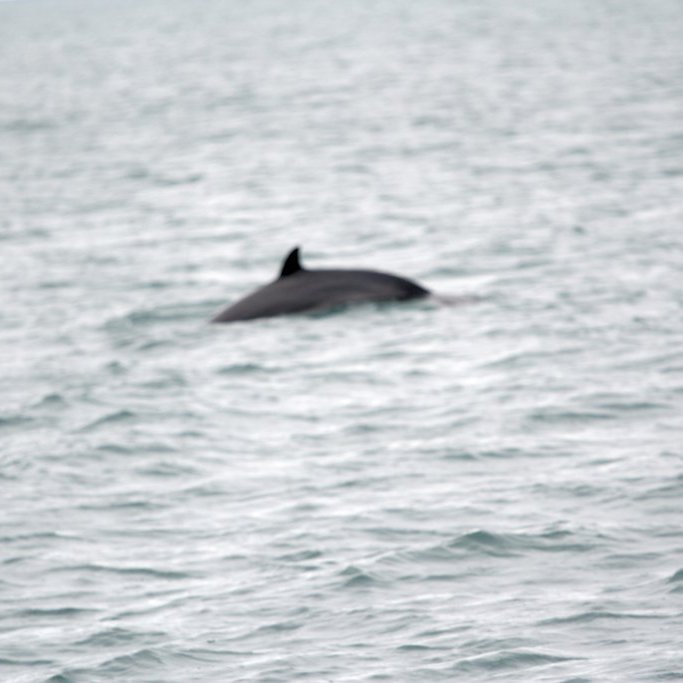 forsida-25-4852aad2b54cbjpg