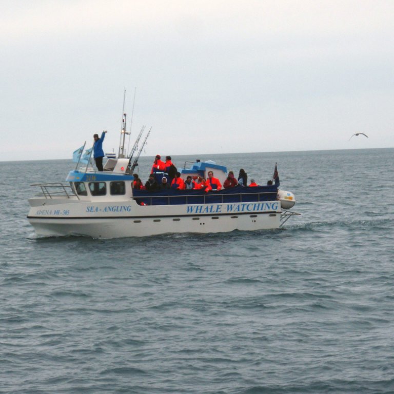 forsida-25-4852aae8e7731jpg