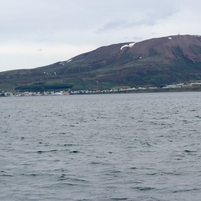 forsida-25-4852aaea8c8a0jpg