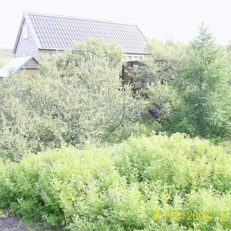 forsida-31-4a85f65f09c0ajpg