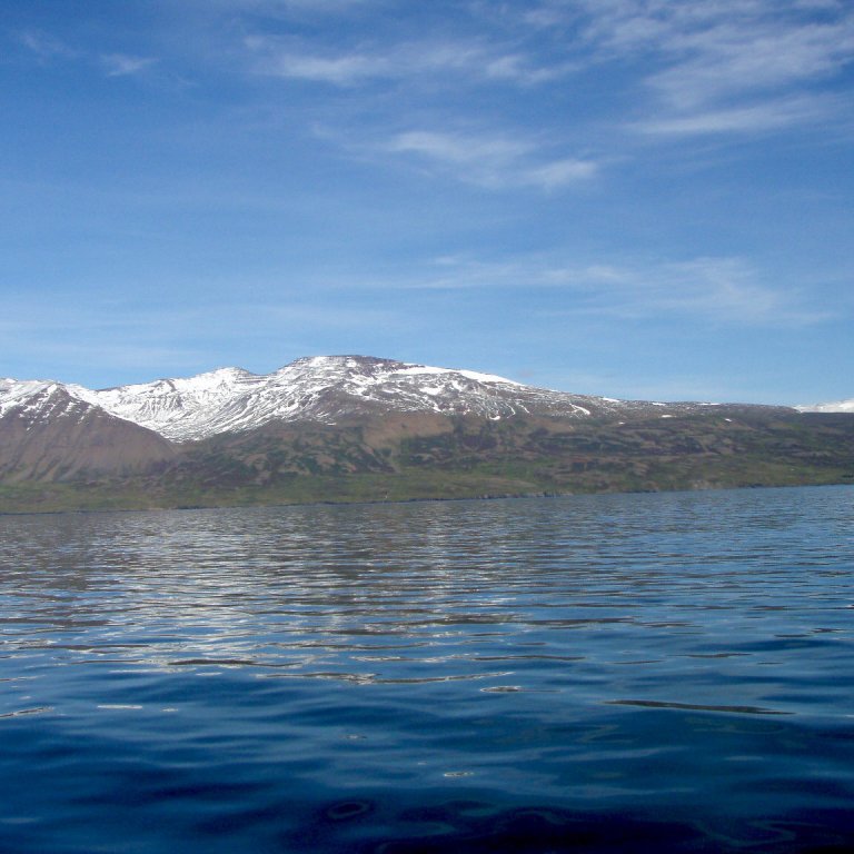 forsida-36-4a903a5e1e601jpg