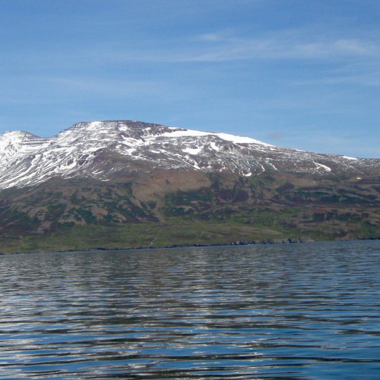 forsida-36-4a903a5e98711jpg