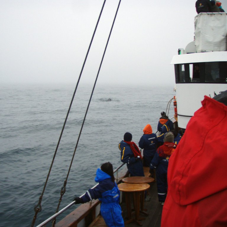 forsida-42-4c403b1678fc4jpg