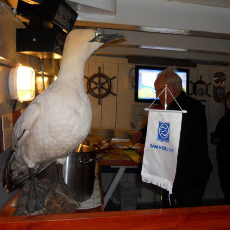 forsida-47-503048a9d4132jpg