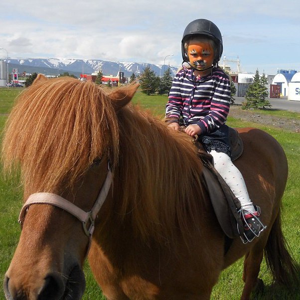 forsida-49-51c6f2f0a691bjpg