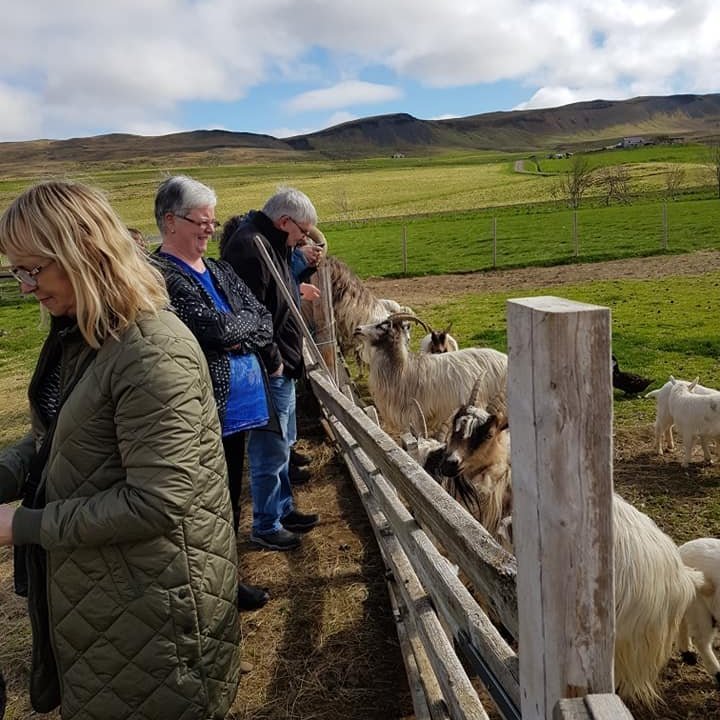 61131648_3154220481258618_6839477342885117952_n