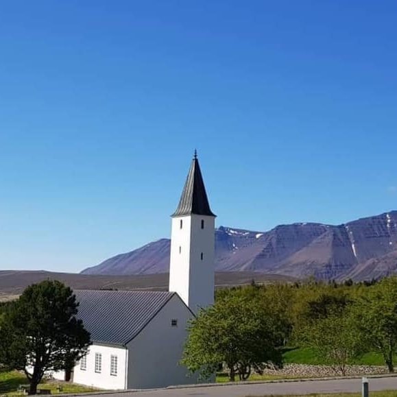 61432199_10213798599334617_9019187376047521792_n-1