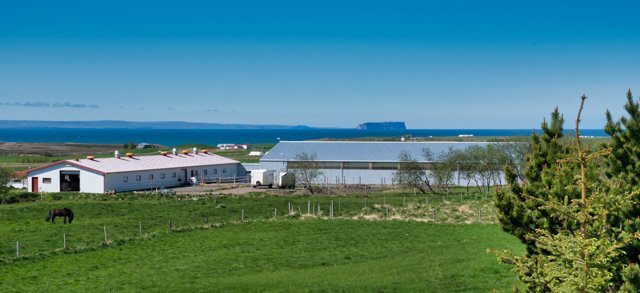 stua_skgaf_s2019_saevar-84.jpg