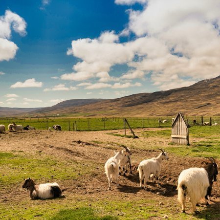 stua_skgaf_s2019_saevar-10