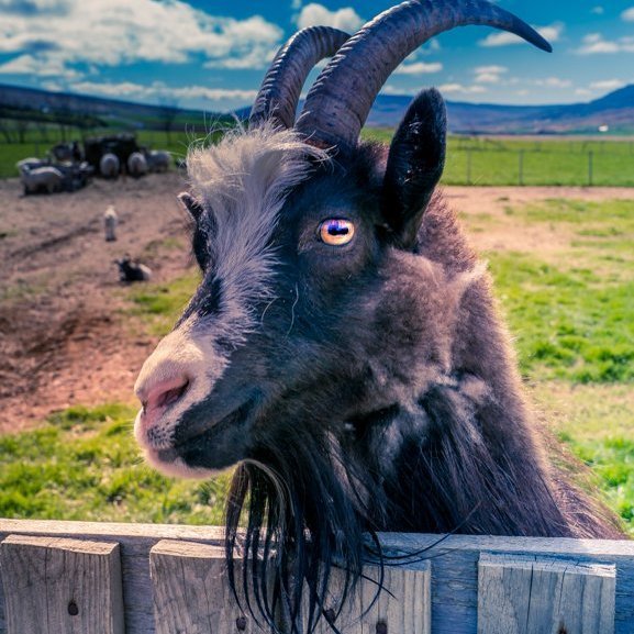 stua_skgaf_s2019_saevar-11