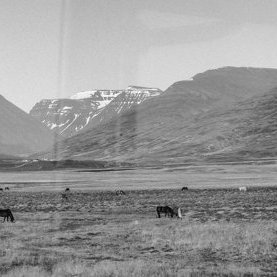 stua_skgaf_s2019_saevar-116