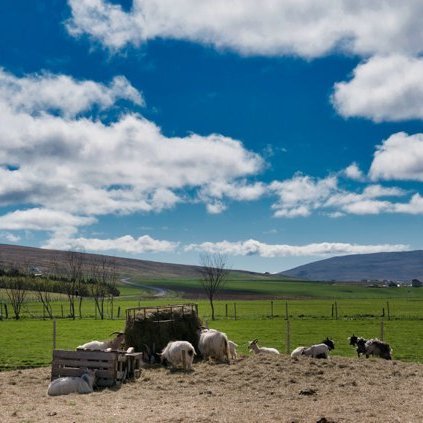 stua_skgaf_s2019_saevar-12