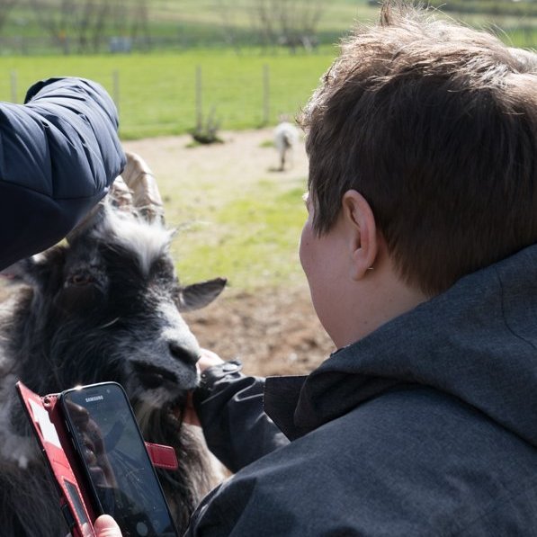 stua_skgaf_s2019_saevar-14