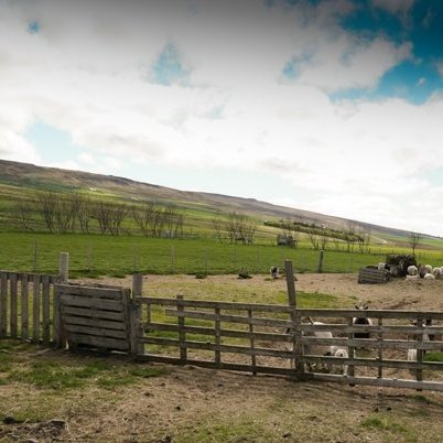 stua_skgaf_s2019_saevar-3