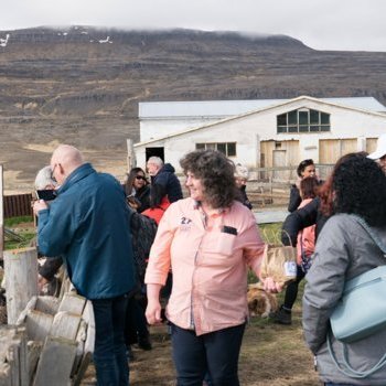 stua_skgaf_s2019_saevar-5