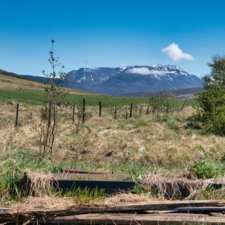 stua_skgaf_s2019_saevar-76