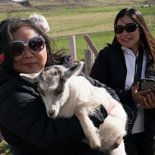 stua_skgaf_s2019_saevar-8