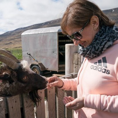 stua_skgaf_s2019_saevar-9