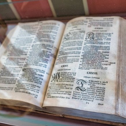 stua_skgaf_s2019_saevar-94