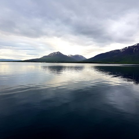 hrisey_2018_saevar-106